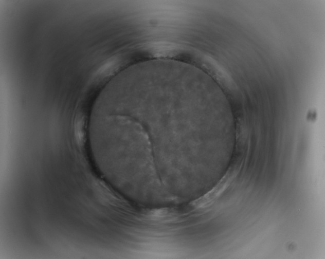 X0000103220074200808281417