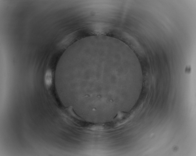 X0000103220075200808281417