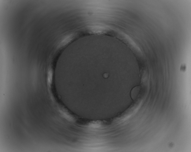 X0000103220076200808281417