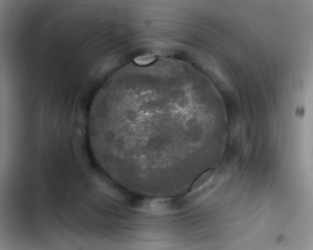 X0000103220078200808281417