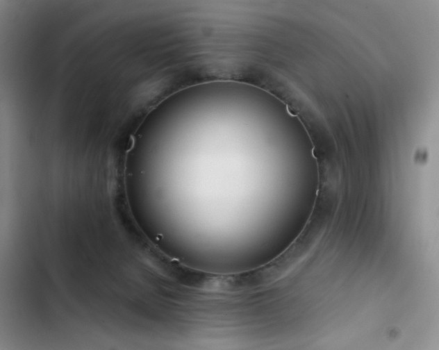 X0000103220080200808281417