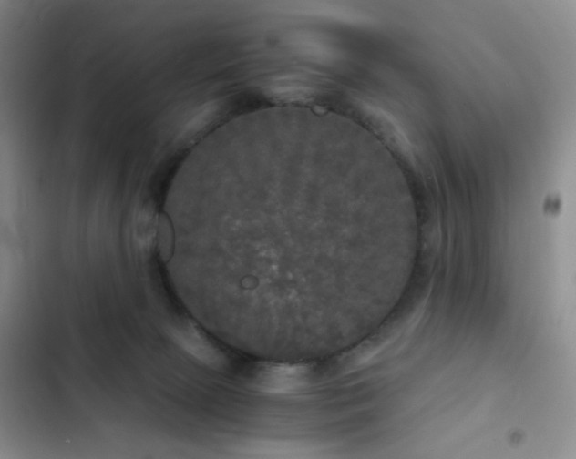 X0000103220081200808281417