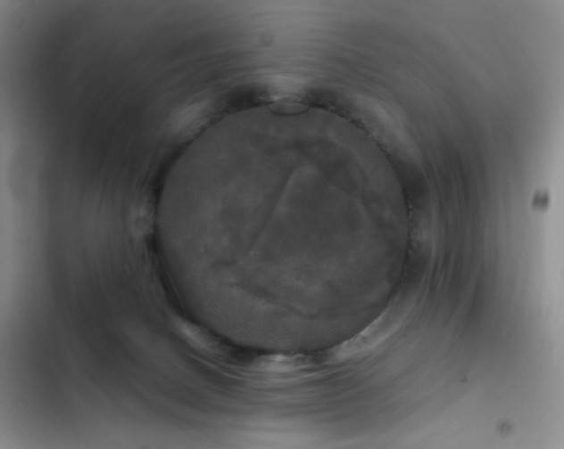 X0000103220082200808281417