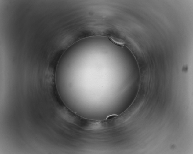 X0000103220083200808281417