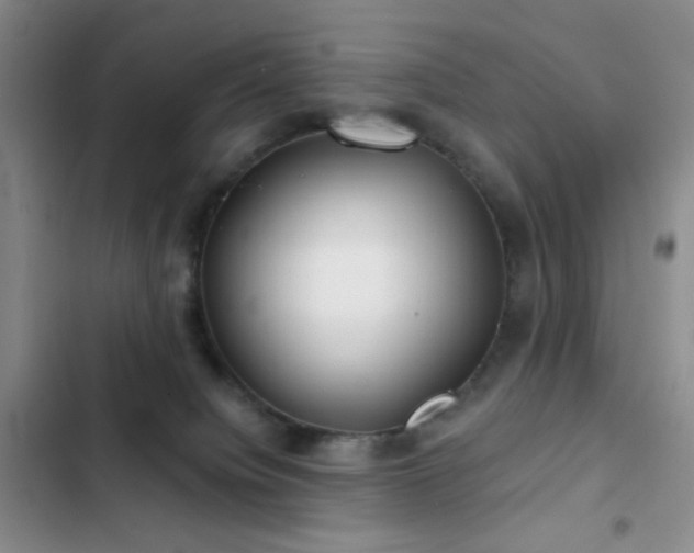 X0000103220084200808281417