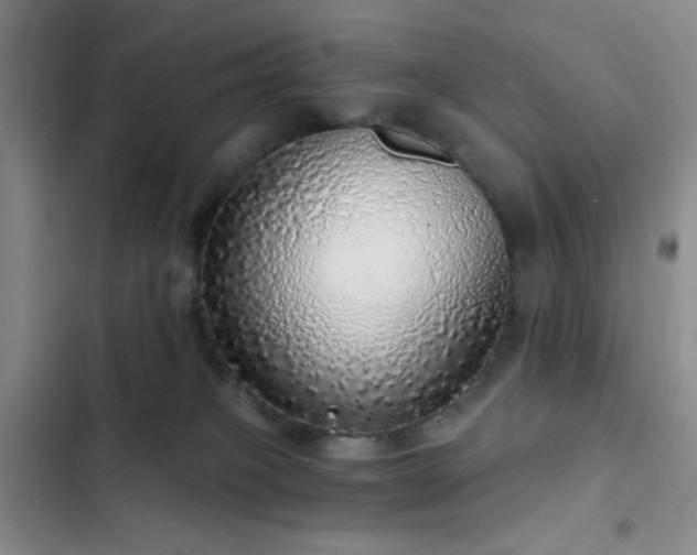 X0000103220085200808281417