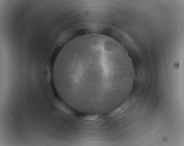 X0000103220086200808281417