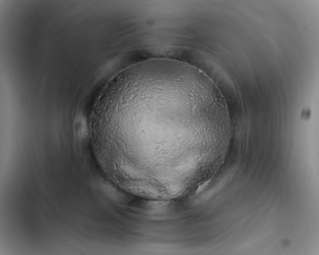 X0000103220089200808281417