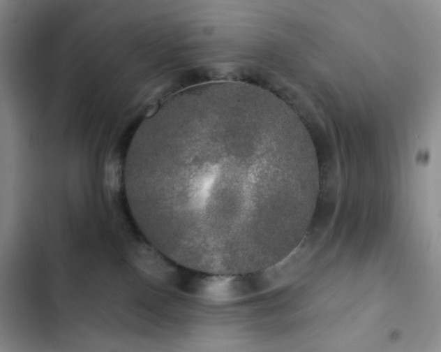 X0000103220090200808281417