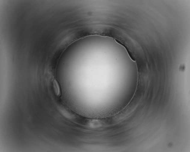 X0000103220091200808281417