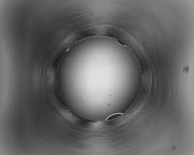 X0000103220092200808281417