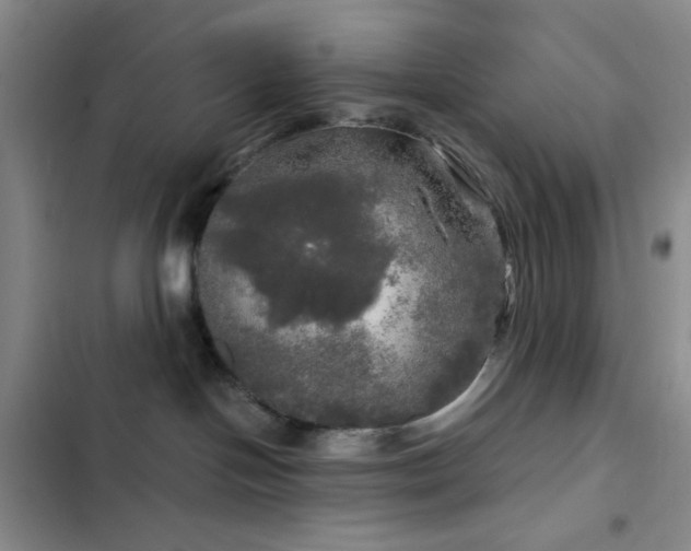 X0000103220094200808281418