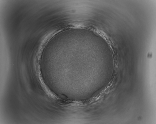 X0000103220097200808281417