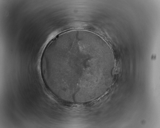 X0000103220099200808281417