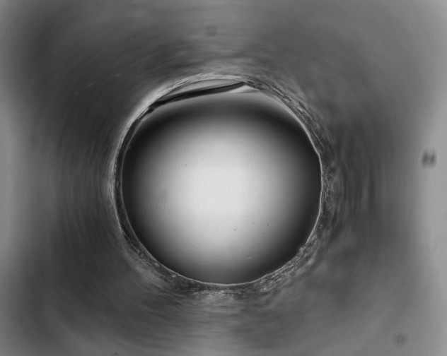 X0000103220100200808281417