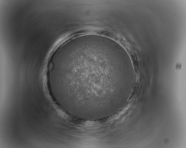 X0000103220101200808281417