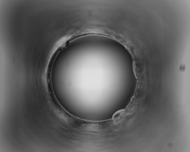 X0000103220104200808281417