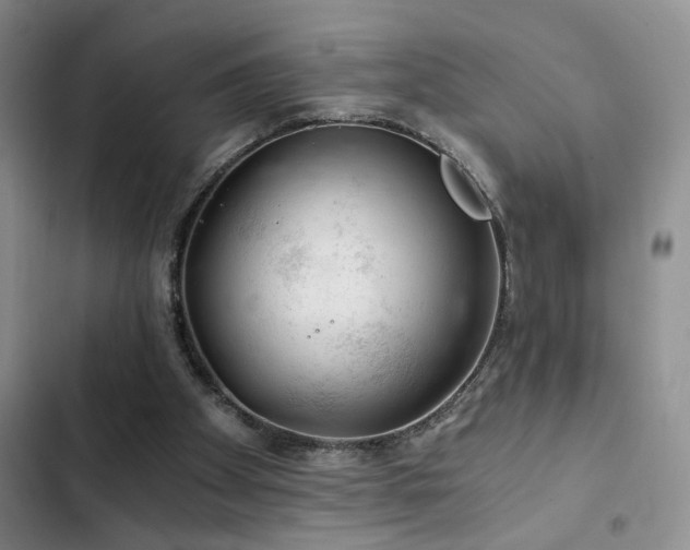 X0000103220105200808281417