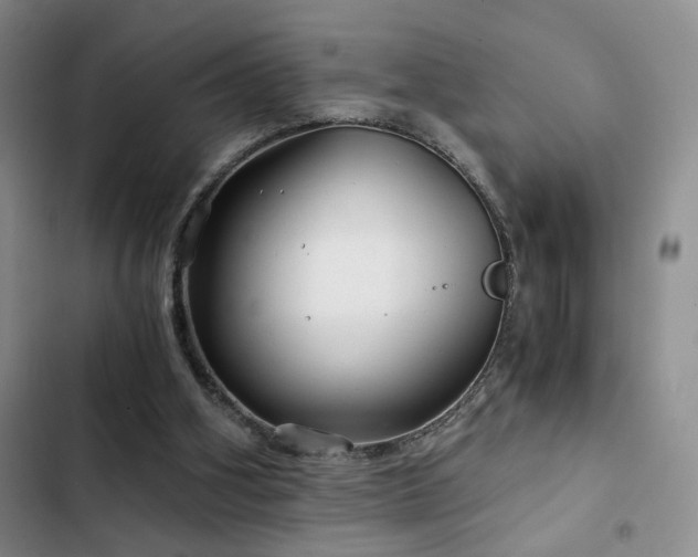 X0000103220106200808281417