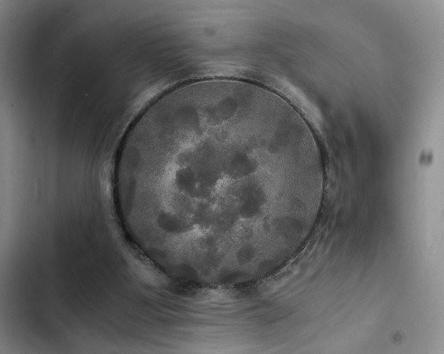 X0000103220107200808281417