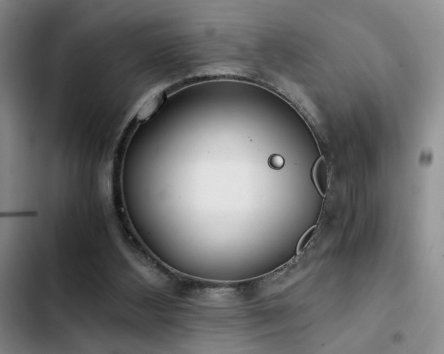 X0000103220108200808281417