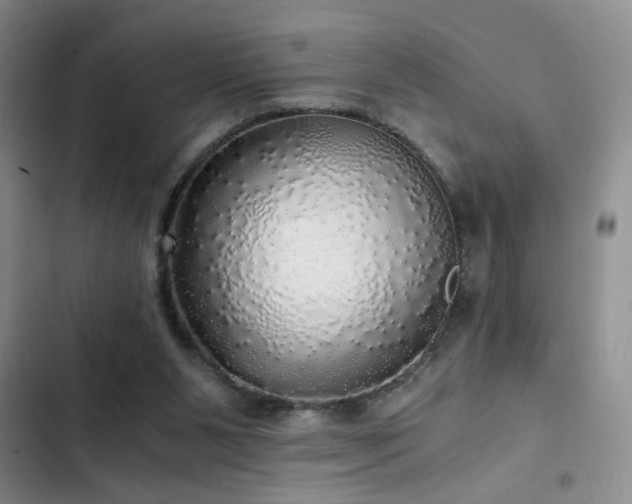 X0000103220111200808281417