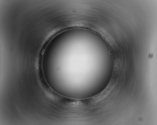 X0000103220112200808281417