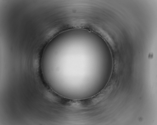 X0000103220113200808281417