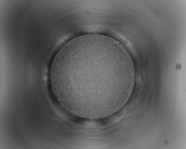 X0000103220115200808281417