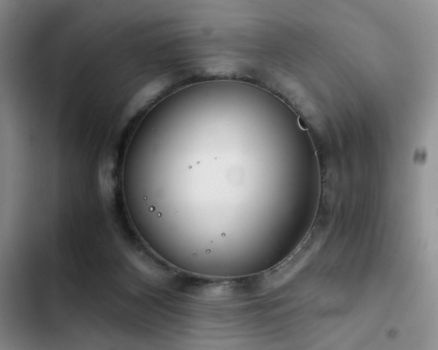 X0000103220116200808281417