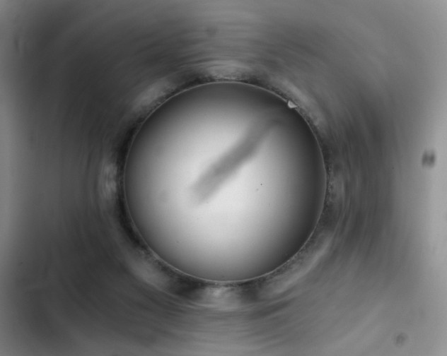 X0000103220117200808281417