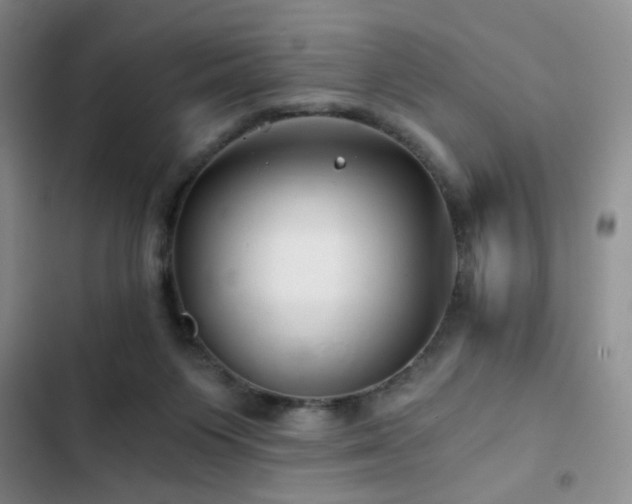 X0000103220119200808281417