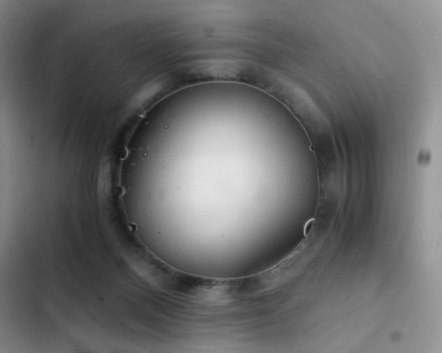 X0000103220120200808281417