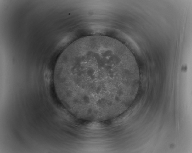 X0000103220123200808281417