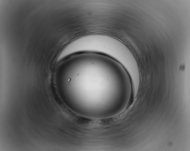 X0000103220124200808281417