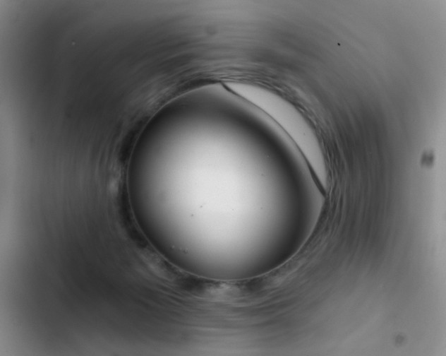 X0000103220125200808281416