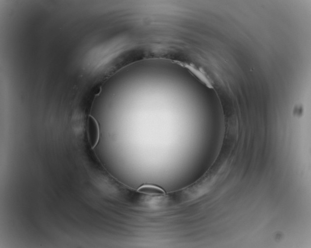 X0000103220135200808281416