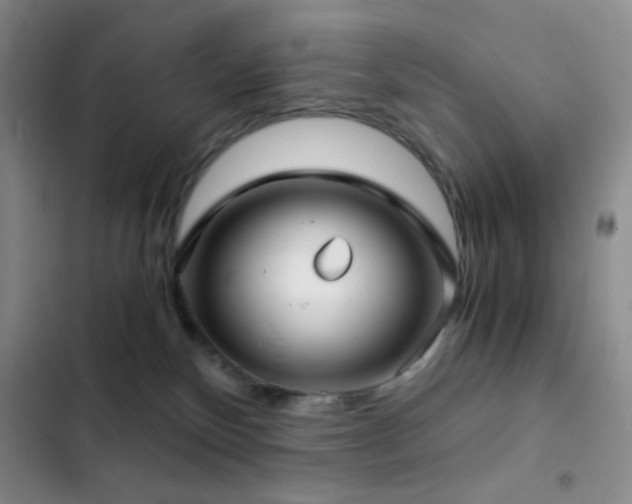 X0000103220136200808281416