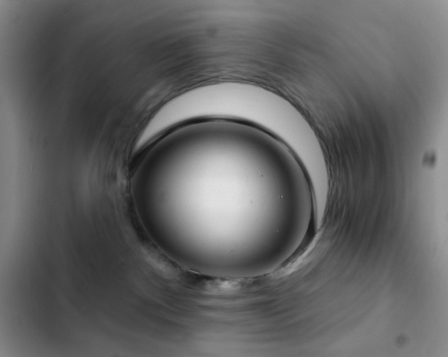 X0000103220140200808281416