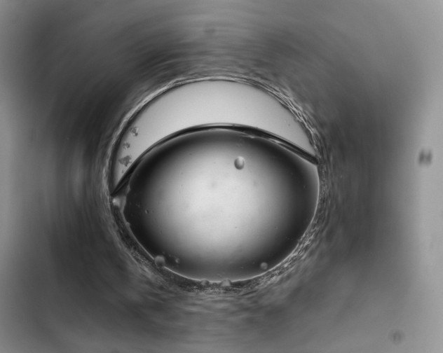 X0000103220146200808281415