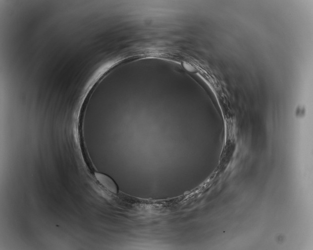 X0000103220147200808281415