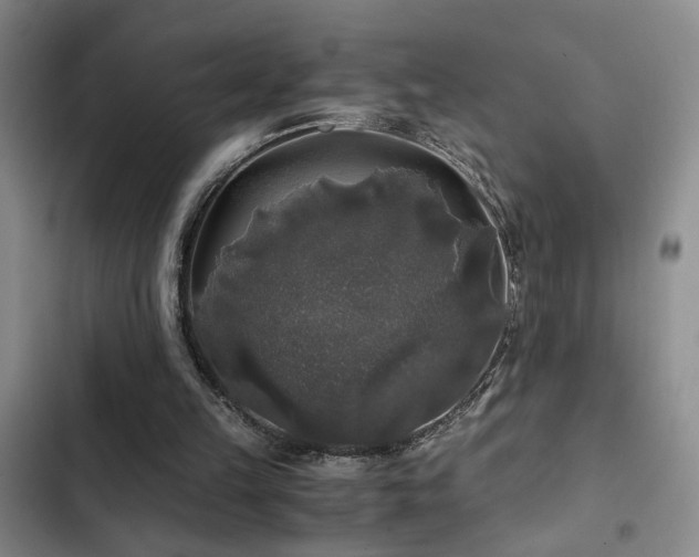 X0000103220149200808281415