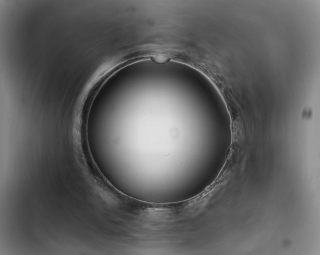 X0000103220150200808281415