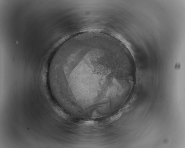 X0000103220153200808281416