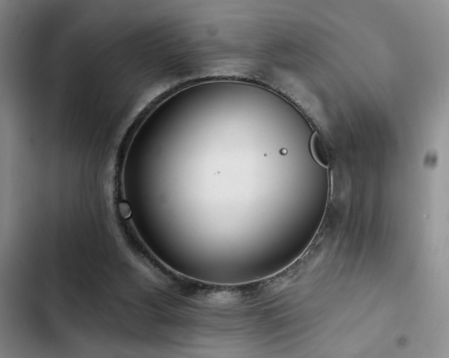 X0000103220156200808281416