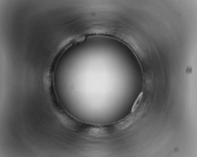 X0000103220160200808281416