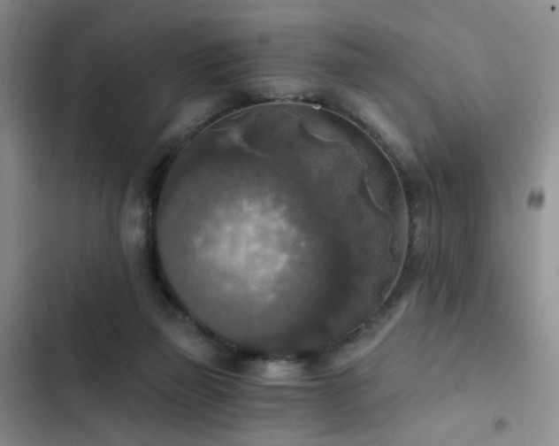 X0000103220165200808281416