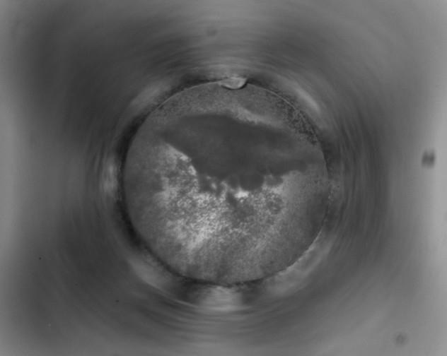 X0000103220166200808281416