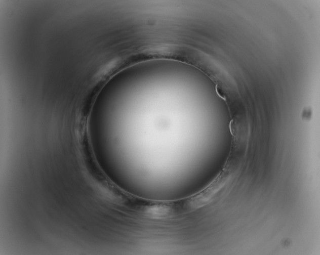 X0000103220168200808281416