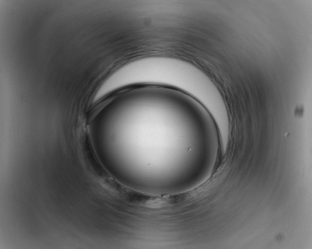 X0000103220172200808281416